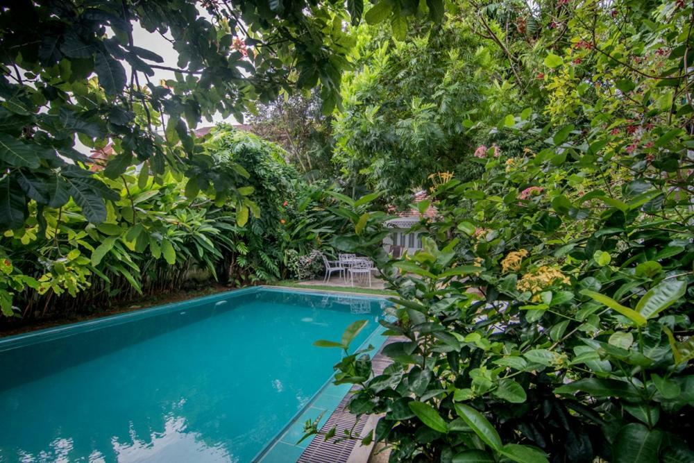 Cozynest Villa Galle Bagian luar foto